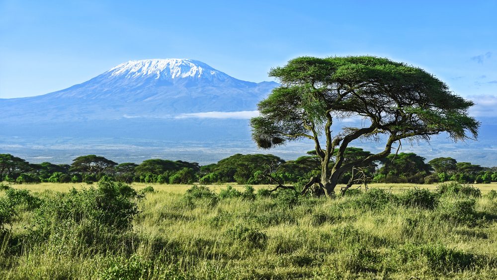 Amboseli National Park (Official GANP Park Page)